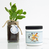 Sugar Me Bare - Canadian Sugaring Wax - Khepri Sugar Paste Sugar Paste Sugar Me Bare 